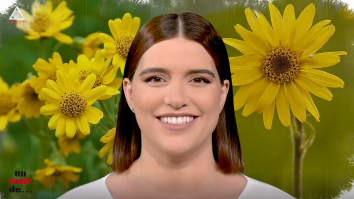 Un vârf de…Arnica