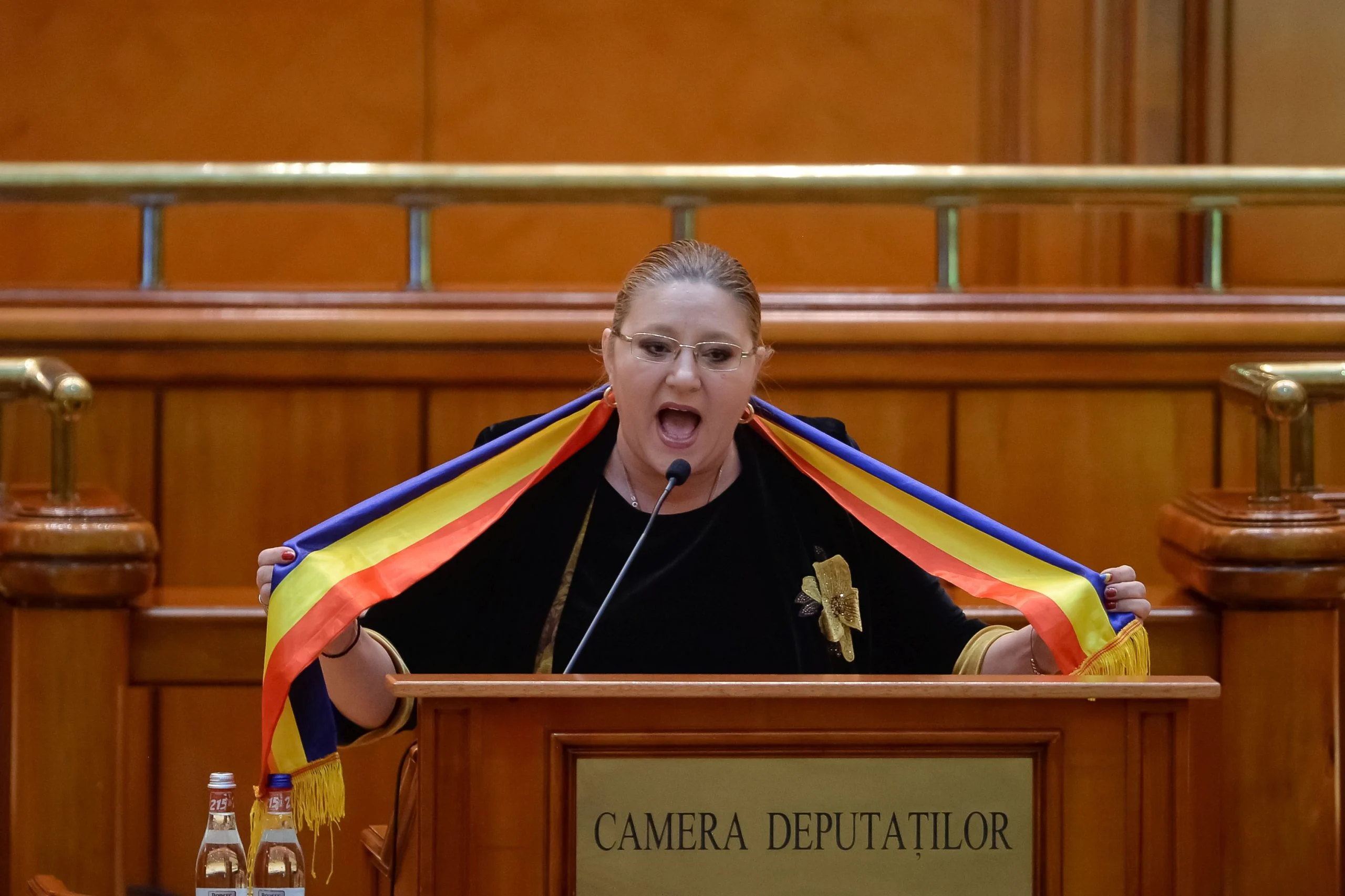 Interdicția CCR în cazul Dianei Șoșoacă setează un precedent foarte periculos. Cele 2 aspecte halucinante la această decizie
