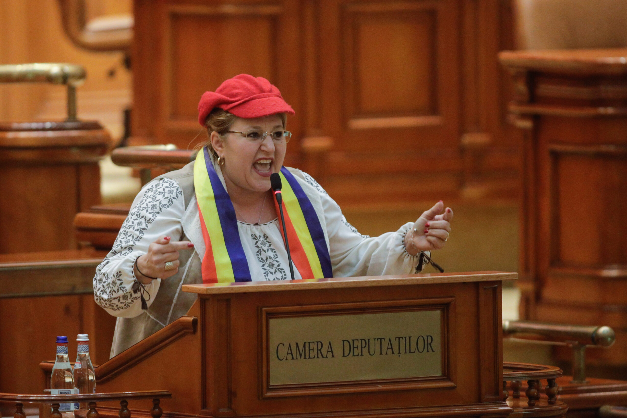 CCR decide dacă admite sau respinge candidatura Dianei Șoșoacă la Președinție. Plenul urmează să motiveze decizia într-o oră