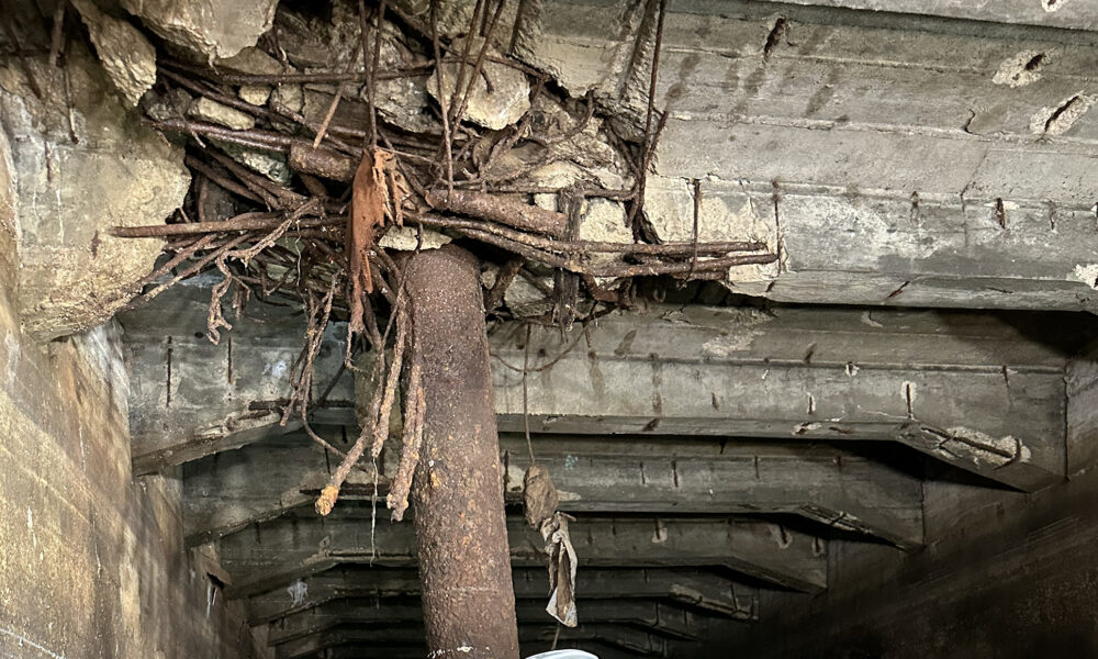 Suntem sau nu în pericol? Cât de gravă este starea în care se află Planșeul Unirii