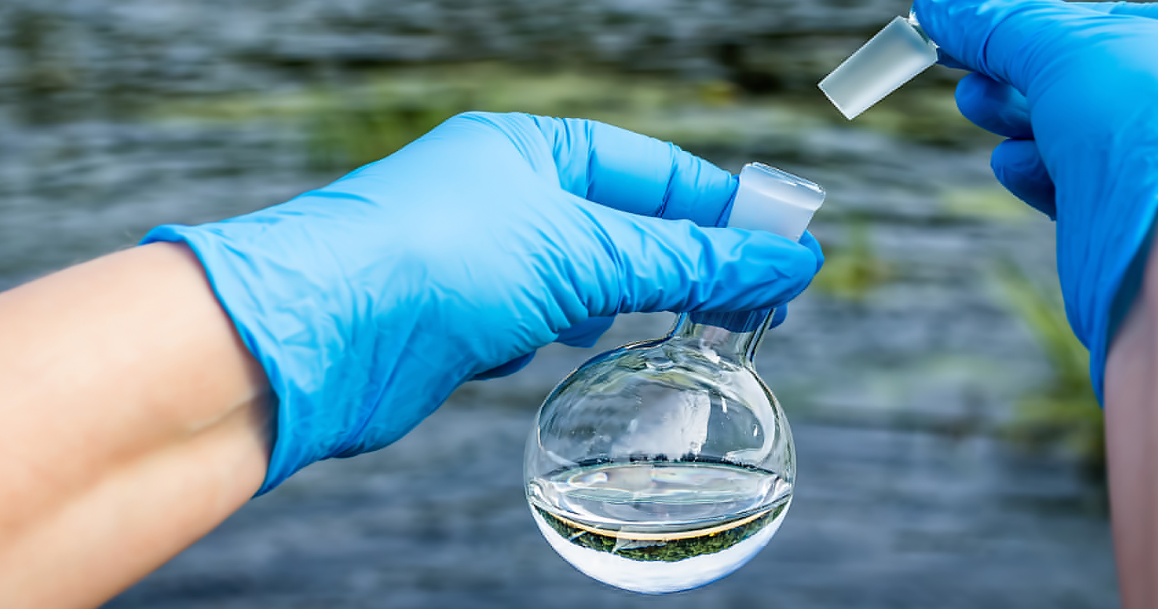 Poluarea agricolă și industrială sufocă mediul. Două treimi din apele Europei nu sunt sănătoase