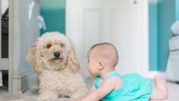 (P) Trucuri simple pentru a reîmprospăta locuința: idei pentru living, bucătărie și baie