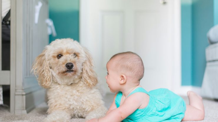 (P) Trucuri simple pentru a reîmprospăta locuința: idei pentru living, bucătărie și baie