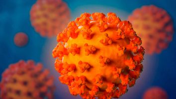 Infecțiile severe de Covid-19 provoacă inflamație cerebrală și simptome persistente