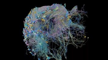 Uniunea Europeană dezvoltă o „hartă a creierului” pentru progrese în neuroștiință și tratamente inovatoare