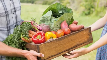 Legumele autohtone sunt o raritate pe meniurile restaurantelor. Ce spun fermierii români