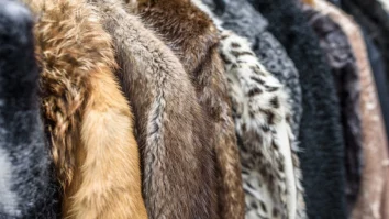 Parlamentul a votat legea. România interzice fermele de blănuri de la 1 ianuarie 2027