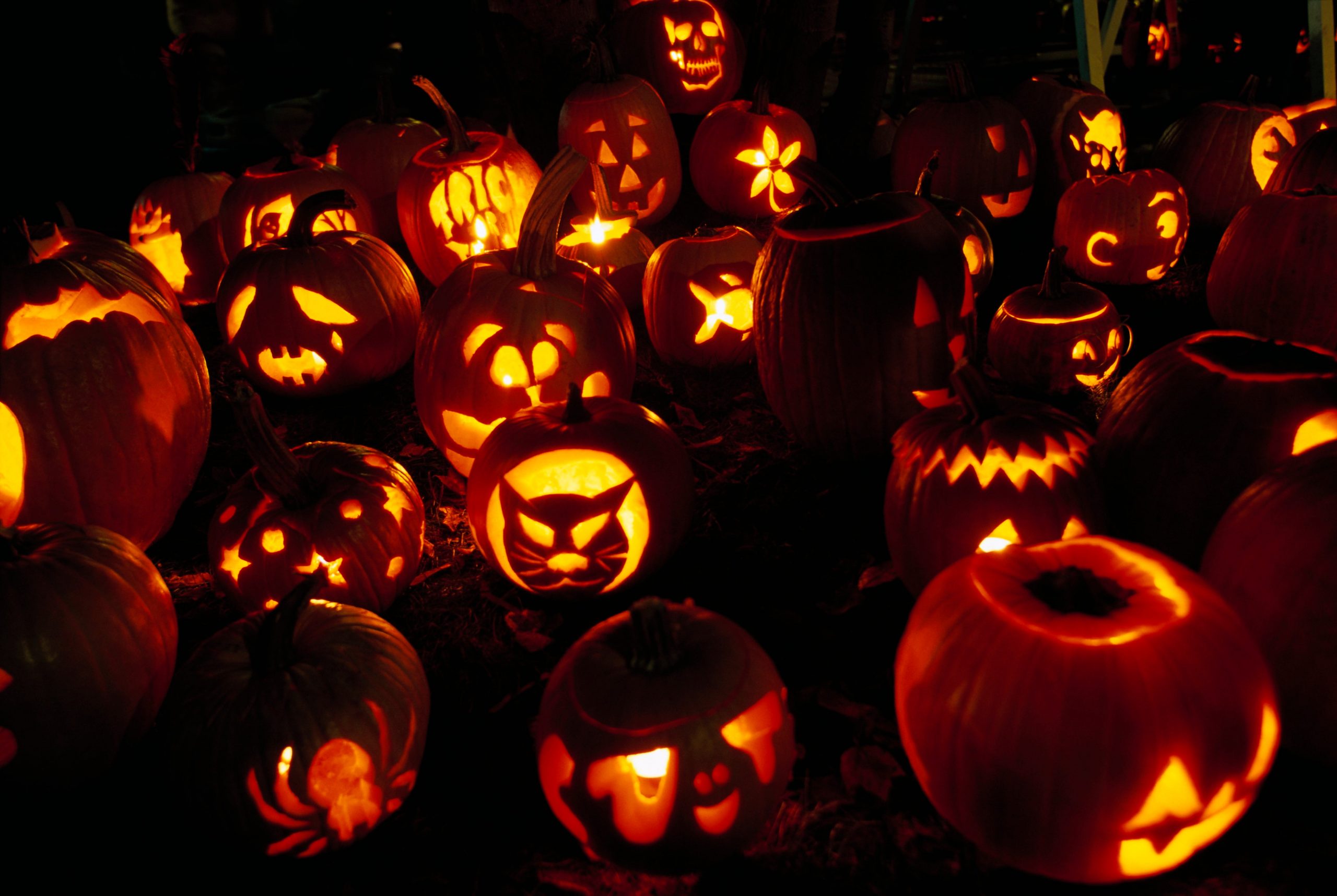 83% din materialele folosite de Halloween sunt din plastic nereciclabil. The Guardian vine cu un ghid al sustenabilității. Ce trebuie să faci