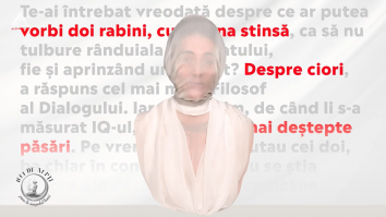 1001 de nopți. Ciori vopsite 