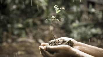 Traficul rutier și îngrășămintele împing plantele europene să își schimbe direcția. 39% se deplasează spre Vest