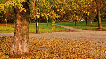 Săptămâna continuă cu temperaturi calde. Cum va fi vremea la finalul weekend-ului