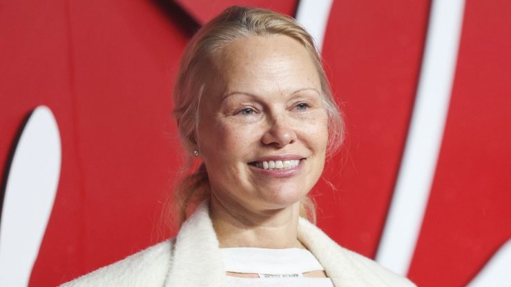 Pamela Anderson a fost atacată într-un avion, după ce un pasager ar fi confundat-o cu un alt artist