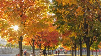 Finalul de octombrie vine cu temperaturi calde. Cum va fi vremea în weekend?