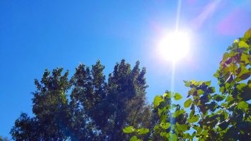 La final de săptămână te bucuri de o vreme însorită. Temperaturile ating 22 de grade Celsius