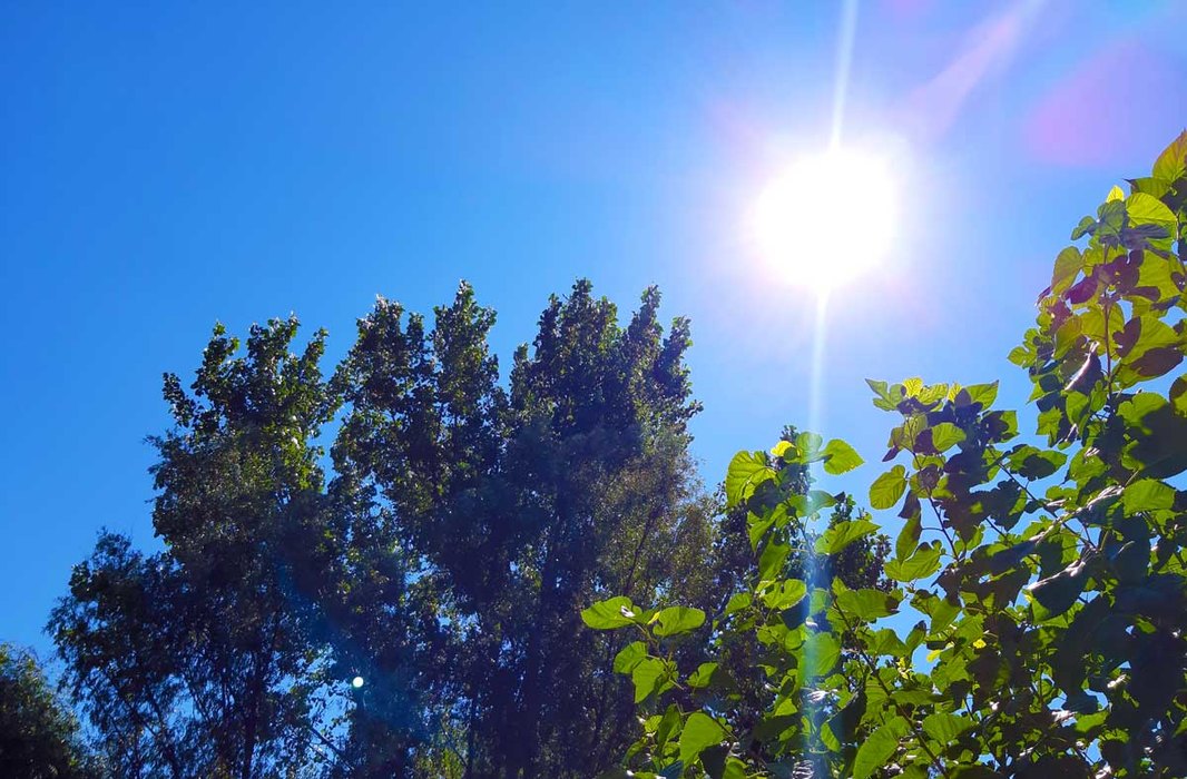 La final de săptămână te bucuri de o vreme însorită. Temperaturile ating 22 de grade Celsius