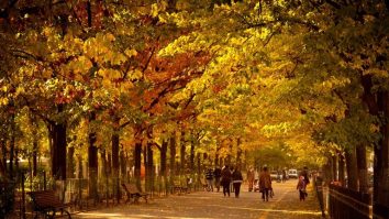 Te bucuri și mâine de temperaturi de vară. În vest, la amiază, vor fi 32°C. Când se răcește vremea