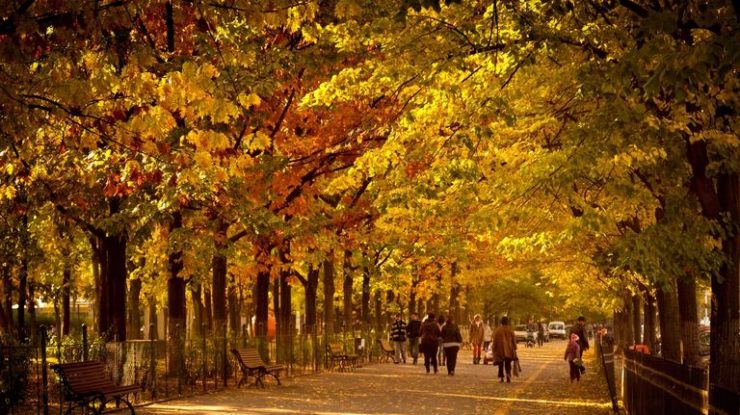 Cum va fi vremea în perioada următoare? Luna octombrie aduce căldură neobişnuită şi ploi în România