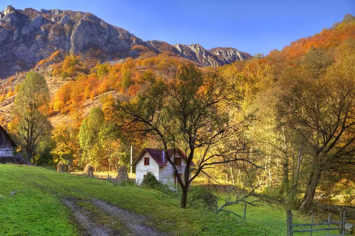 Ce faci toamna? Mergi la Vânătoarea de trufe din Transilvania