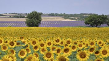 Piața din Arles și peisajele Provencei au fost sursa de inspirație pentru operele lui Van Gogh