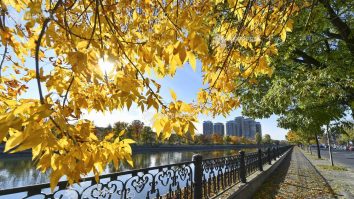 Vremea se încălzește de săptămâna viitoare. Ce temperaturi vor fi mâine în București și în restul țării