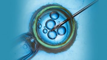 STUDIU. Numărul mamelor singure care fac FIV s-a triplat în 10 ani. 90% dintre femei apelează la congelarea ovulelor