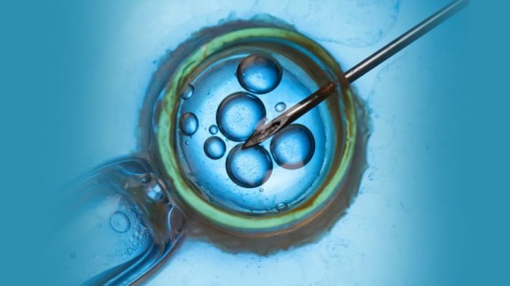 STUDIU. Numărul mamelor singure care fac FIV s-a triplat în 10 ani. 90% dintre femei apelează la congelarea ovulelor