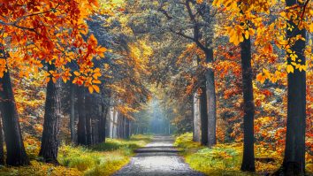 Cum e vremea în weekend? Bucură-te de căldură cât mai poți, vine frigul!