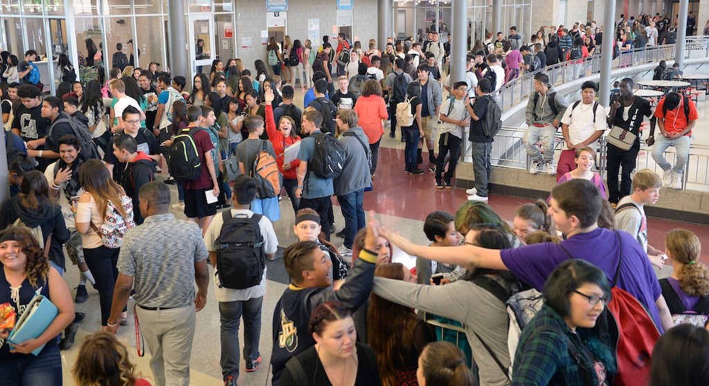 Unele școli din Canada schimbă notele cu calificative. România a adăugat calificativele la clasele primare acum 20 de ani