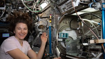 Celulele stem cultivate în spațiu ar putea revoluționa tratamentele pentru AVC și cancer