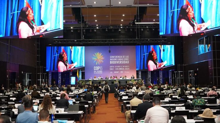 Summit-ul COP 16 a fost un semnal de alarmă pentru salvarea biodiversității. Avertismentul ONU