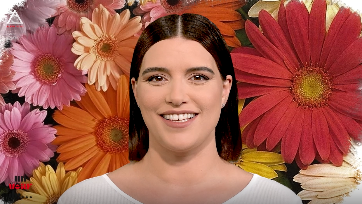 Un vârf de…Gerbera