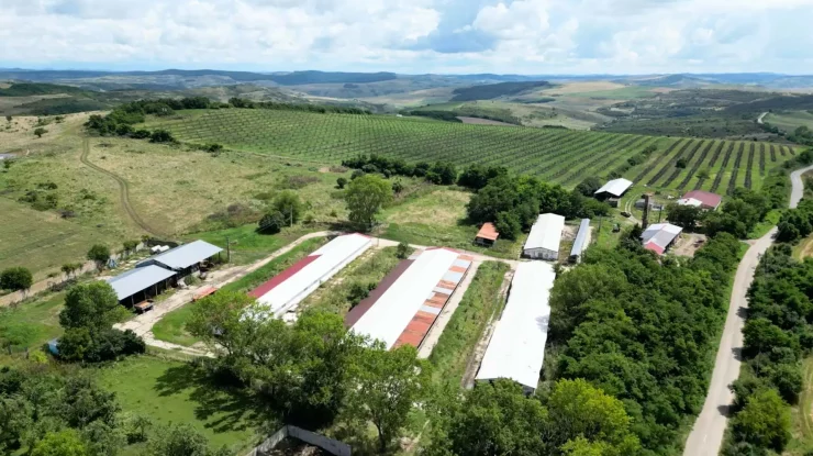 Fermele ecologice sunt rezistente în fața inundațiilor și declinului biodiversității