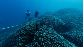Cel mai mare coral cunoscut din lume poate fi văzut din spațiu