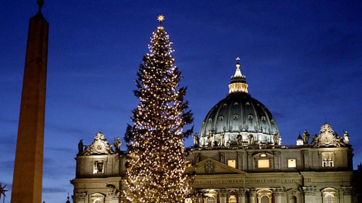 Activiștii din Italia îi cer Papei să oprească „sacrificiul inutil” al unui brad vechi de 200 de ani pentru Crăciun
