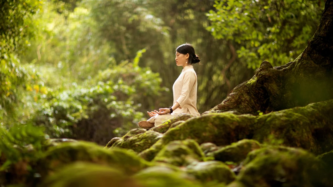 Fenomenul „forest bathing” este noul trend. Cum te ajută conectarea cu natura în tratarea afecțiunilor psihice