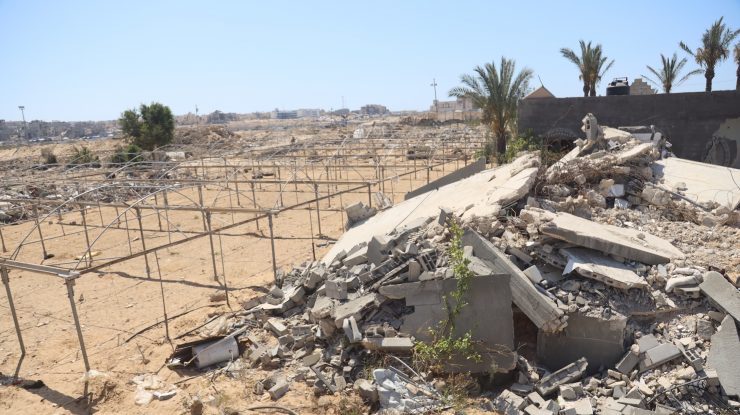 ONU susține că peste 90% dintre bovine au murit și aproximativ 70% din terenul pentru culturi din Gaza a fost distrus