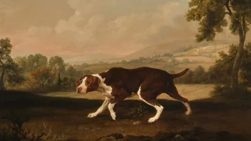 Tabloul „The Spanish Pointer” al artistului George Stubbs e scos la licitație pentru prima dată în peste 50 de ani. La ce preț se vinde opera de artă
