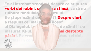 1001 de nopți. Ciori vopsite 