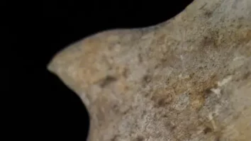 Cercetătorii au făcut noi descoperiri despre Epoca Bronzului. Ce înseamnă noile dovezi despre canibalism