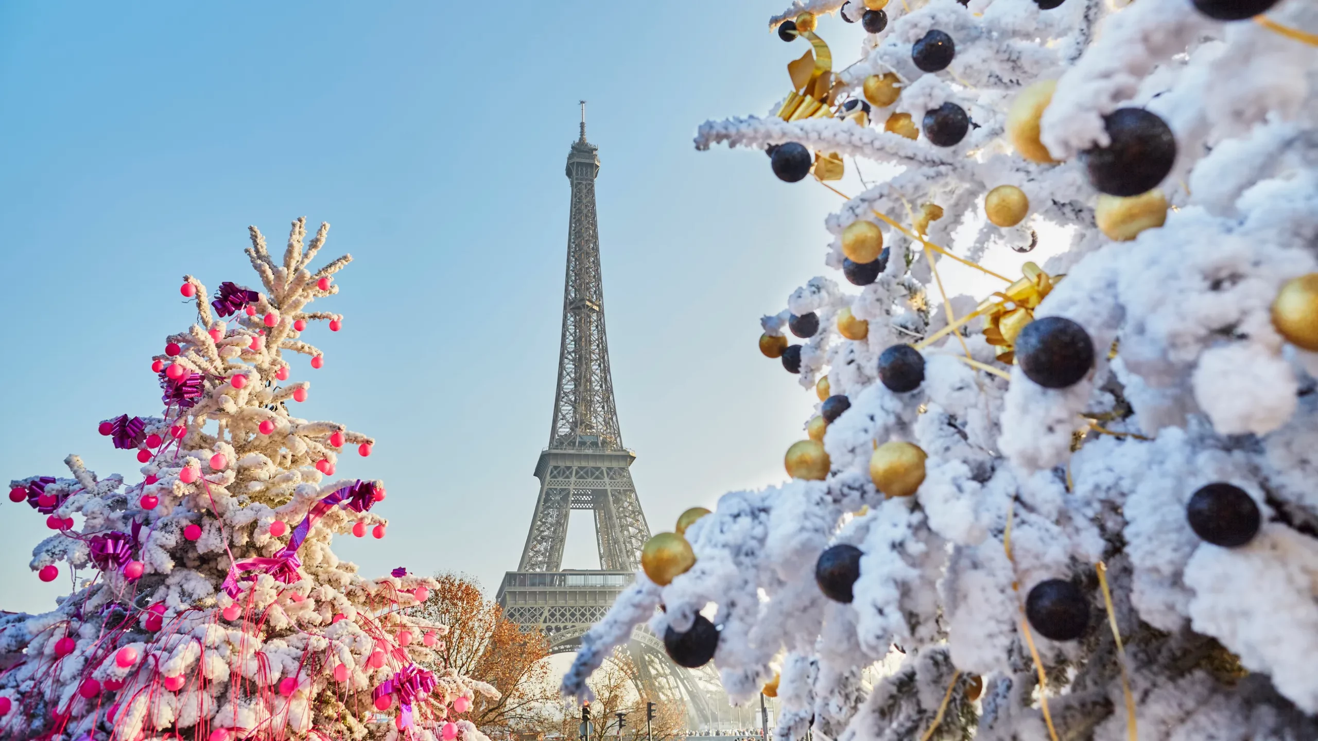 Crăciunul la Paris: O experiență culinară și vizuală de neuitat în inima Franței