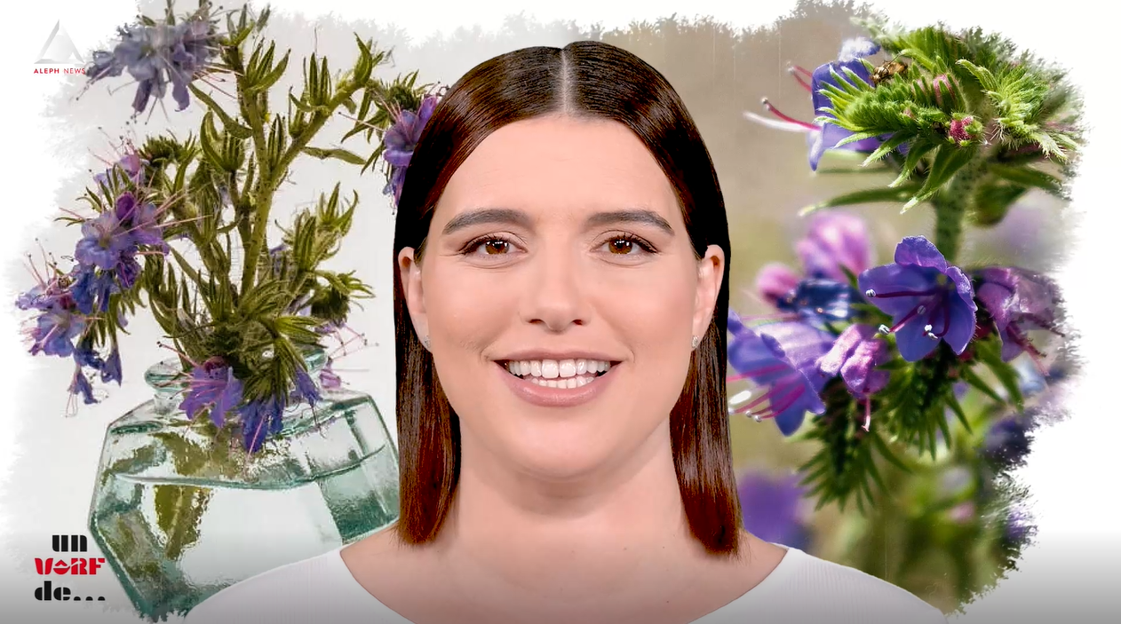 Un vârf de…Iarba Șarpelui