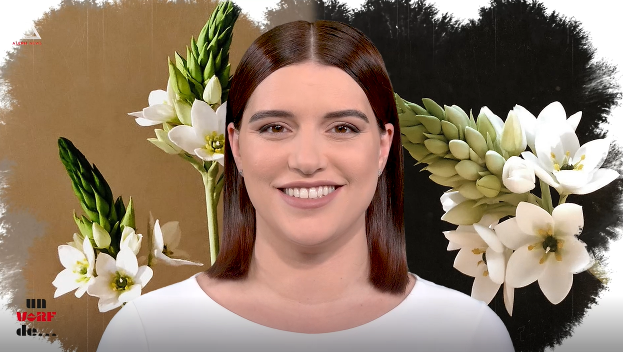 Un vârf de…Steaua din Bethleem