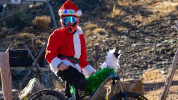 De Crăciun, vine bradul la tine…pe bicicletă. Cum poți alege sărbători eco și sustenabile în Cluj-Napoca