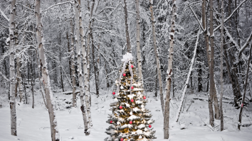 Crăciunul alb a devenit o amintire. Cum schimbările climatice transformă sărbătorile de iarnă