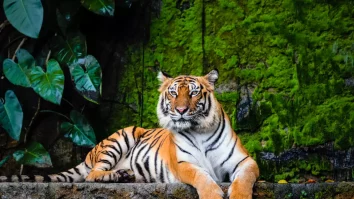 Schimbările climatice afectează grav ecosistemele și speciile vulnerabile. Adrian Bilba: „Cele mai mari provocări sunt generate de invazia umană”