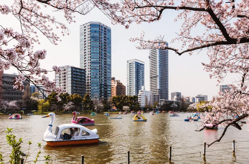 Unde pleci în vacanță în 2025? Asia a dominat topul în 2024, cu Tokyo, Seoul și Halong Bay pe primele locuri