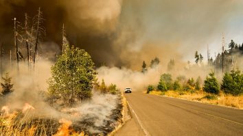 2024 va fi cel catalogat ca cel mai călduros an din întreaga istorie