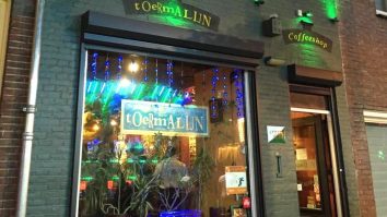 Canabisul vândut în Coffe Shop-urile din Olanda este contaminat cu bacterii