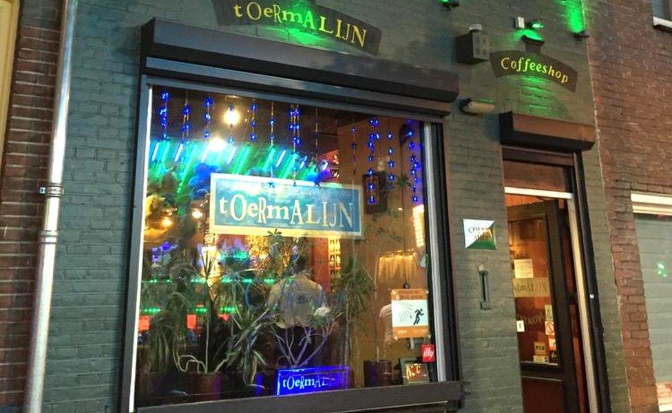 Canabisul vândut în Coffe Shop-urile din Olanda este contaminat cu bacterii