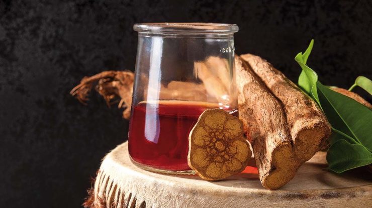 Cercetătorii au descoperit că o substanță psihedelică poate trata dependența de alcool. DMT este o substanță cunoscută de secole